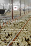 Poultry Farm Web Design - PoultryFarm - mobile preview
