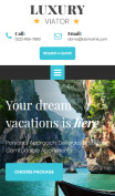 Travel Agent Website Design - mobile preview