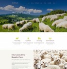 最佳农业网站设计-羊田-图像
