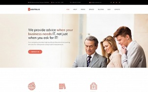会计网站设计- Auditelix -平板图像