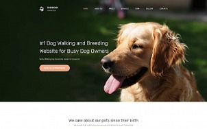 Veterinary Website Design - DOGGO - tablet image