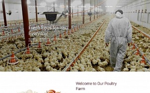 Poultry Farm Web Design - PoultryFarm - tablet image