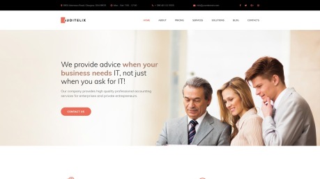 Accounting Website Design - Auditelix - image