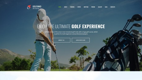 高尔夫网站设计- Golfinno -形象