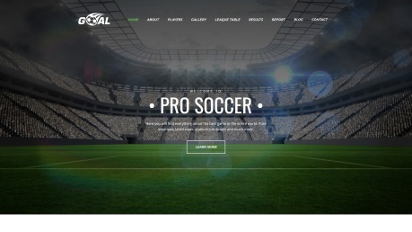 Soccer Website Design - Goal - image