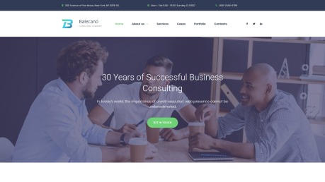 企业网站设计- Balecano -形象