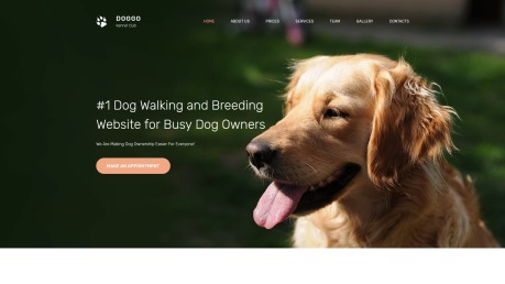 Veterinary Website Design - DOGGO - image
