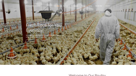Poultry Farm Web Design - PoultryFarm - image
