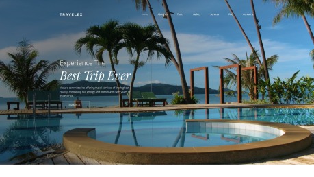 Travel Agency Website Design - Travelex - image