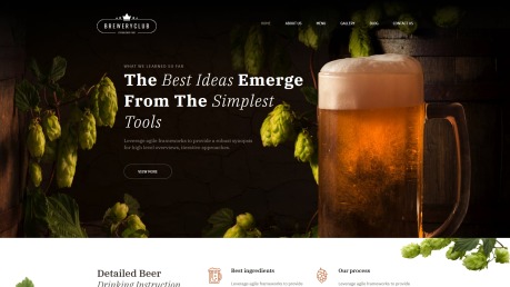 啤酒厂网站设计精酿啤酒酒吧-形象