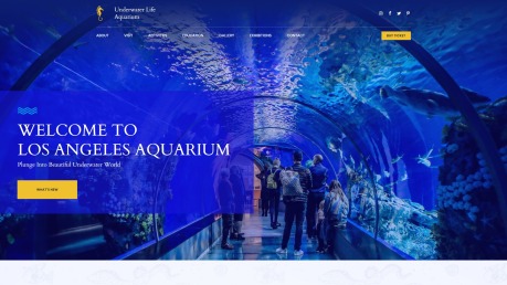 Piublic Aquarium Website Design - image