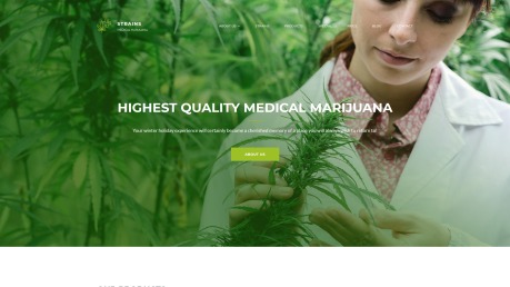 Marijuana Dispensary Website Theme - image