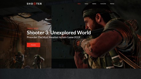 Shooter Gaming Website Design - image