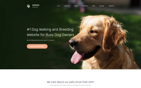 Veterinary Website Design - DOGGO