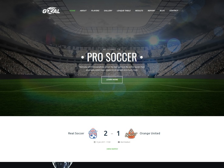 Soccer Website Design - Goal - main image