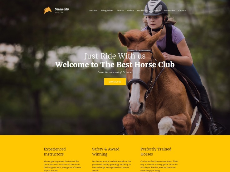 Equine Website Design - Manelity - main image