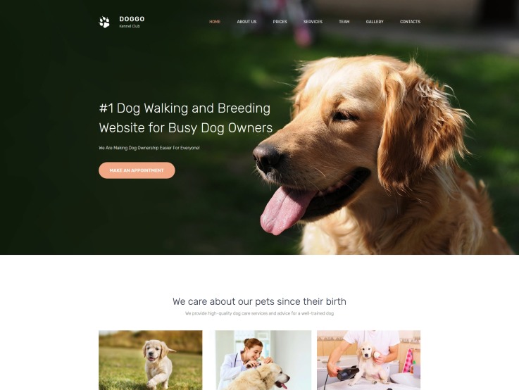 Veterinary Website Design - DOGGO - main image