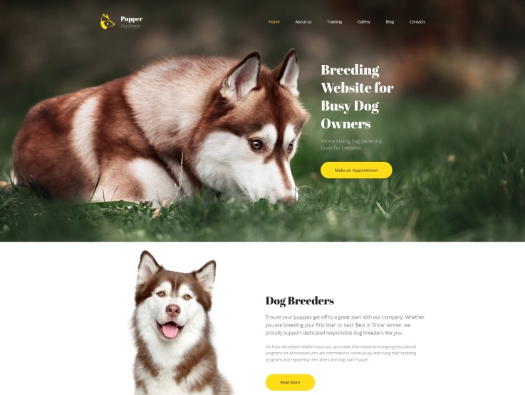 Breeder Website Design - Pupper - main image