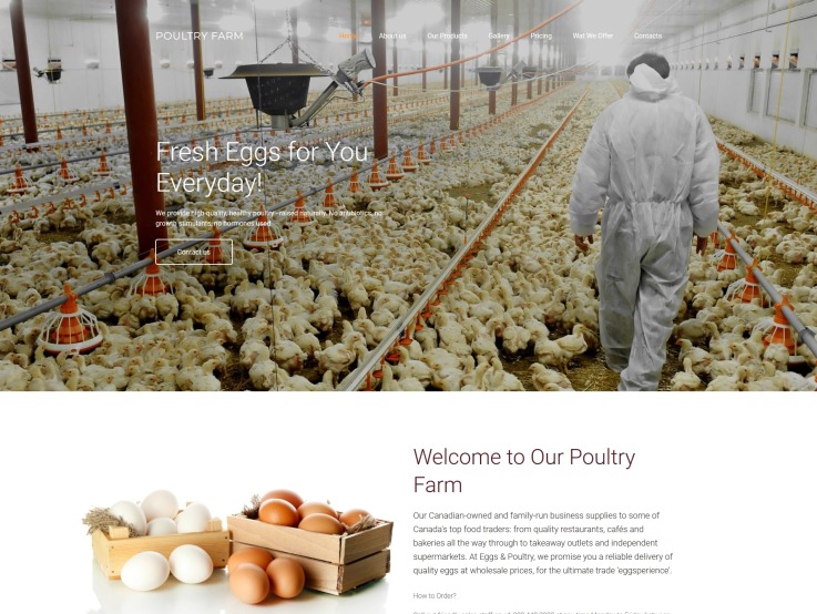 Poultry Farm Web Design - PoultryFarm - main image