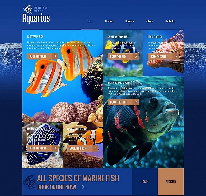 Fish Aquarium Website Template For Fish Selling Website MotoCMS