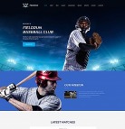 Baseball Website Design - Fieldrun - image