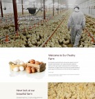 Poultry Farm Web Design - PoultryFarm - image