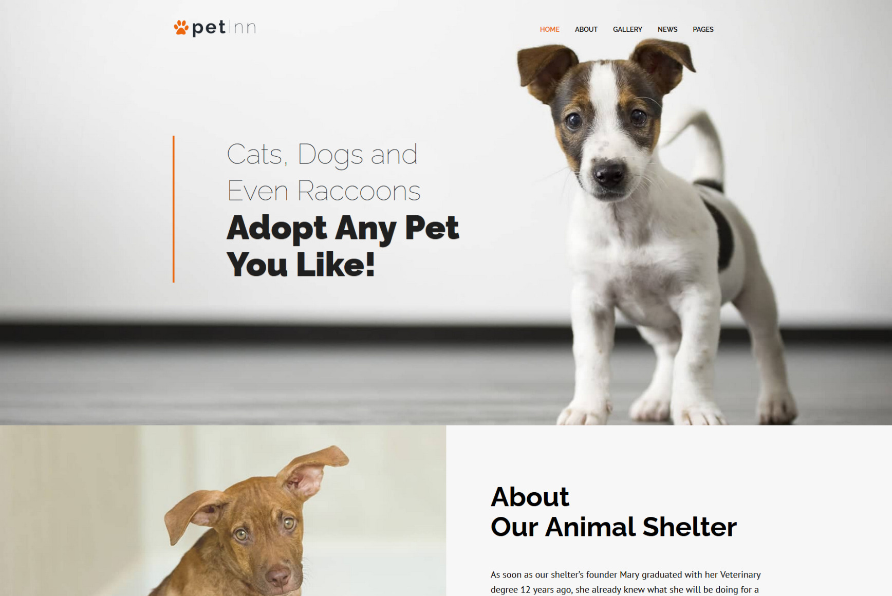 Pet Adoption Website Template for Pet Shelter - MotoCMS