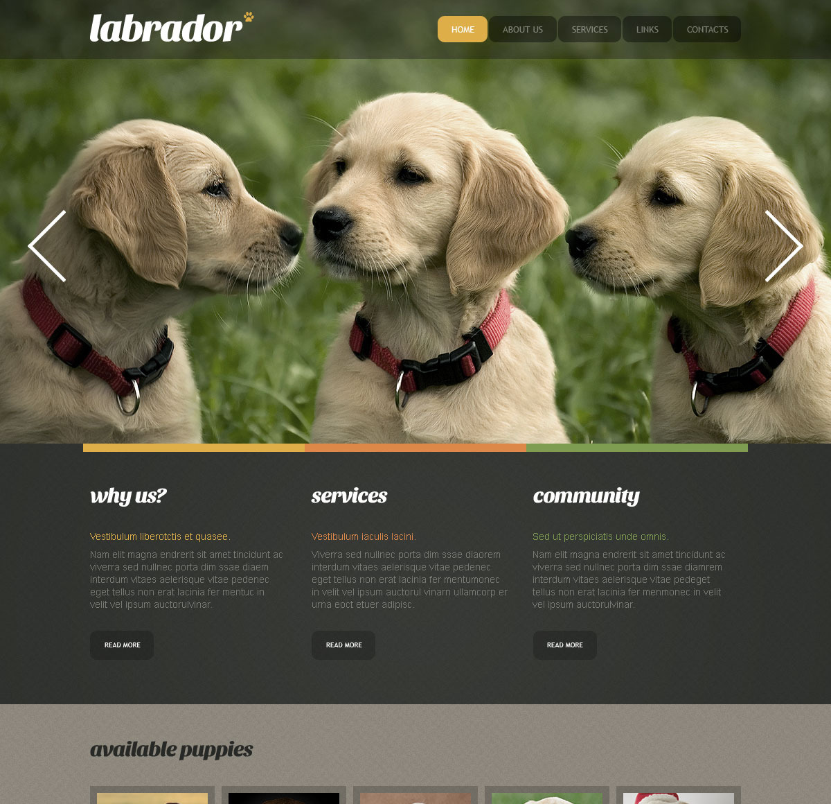 Dog Breeder Website Templates
