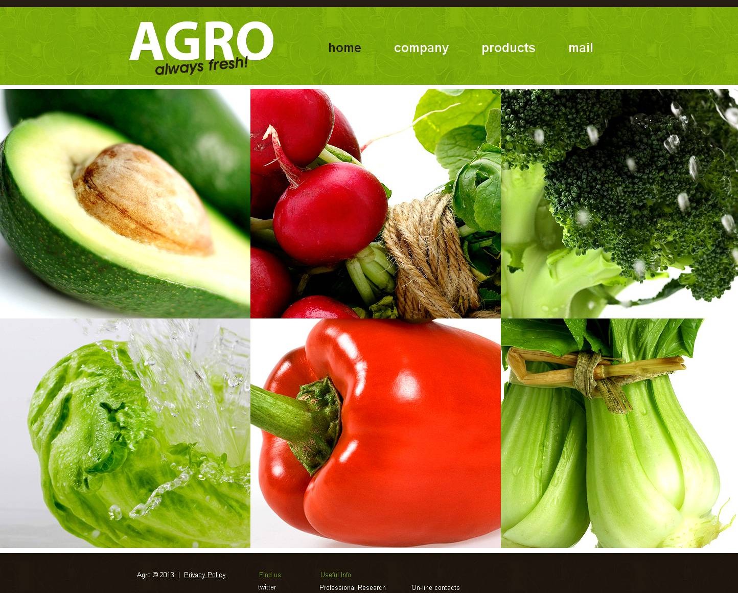 Vegetable Farm site Template with Sliding Photo Gallery MotoCMS
