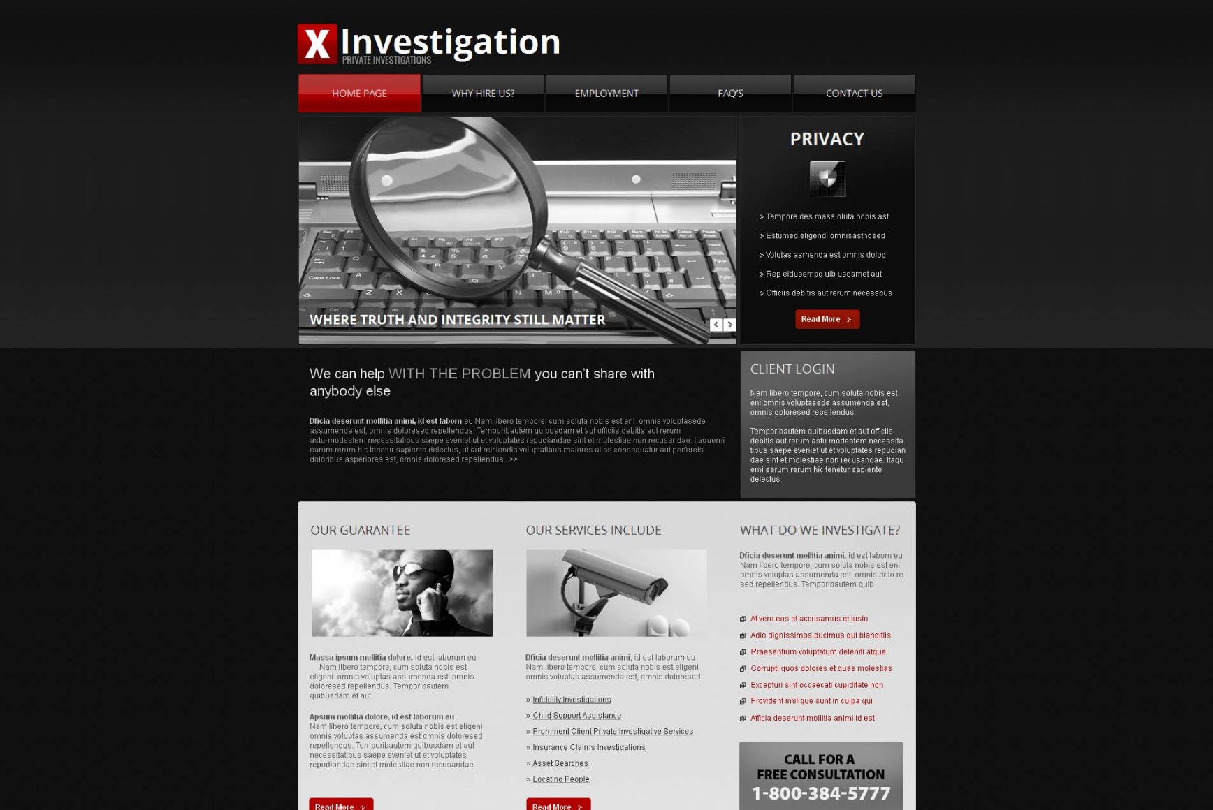 Private Investigation Services Website Template MotoCMS