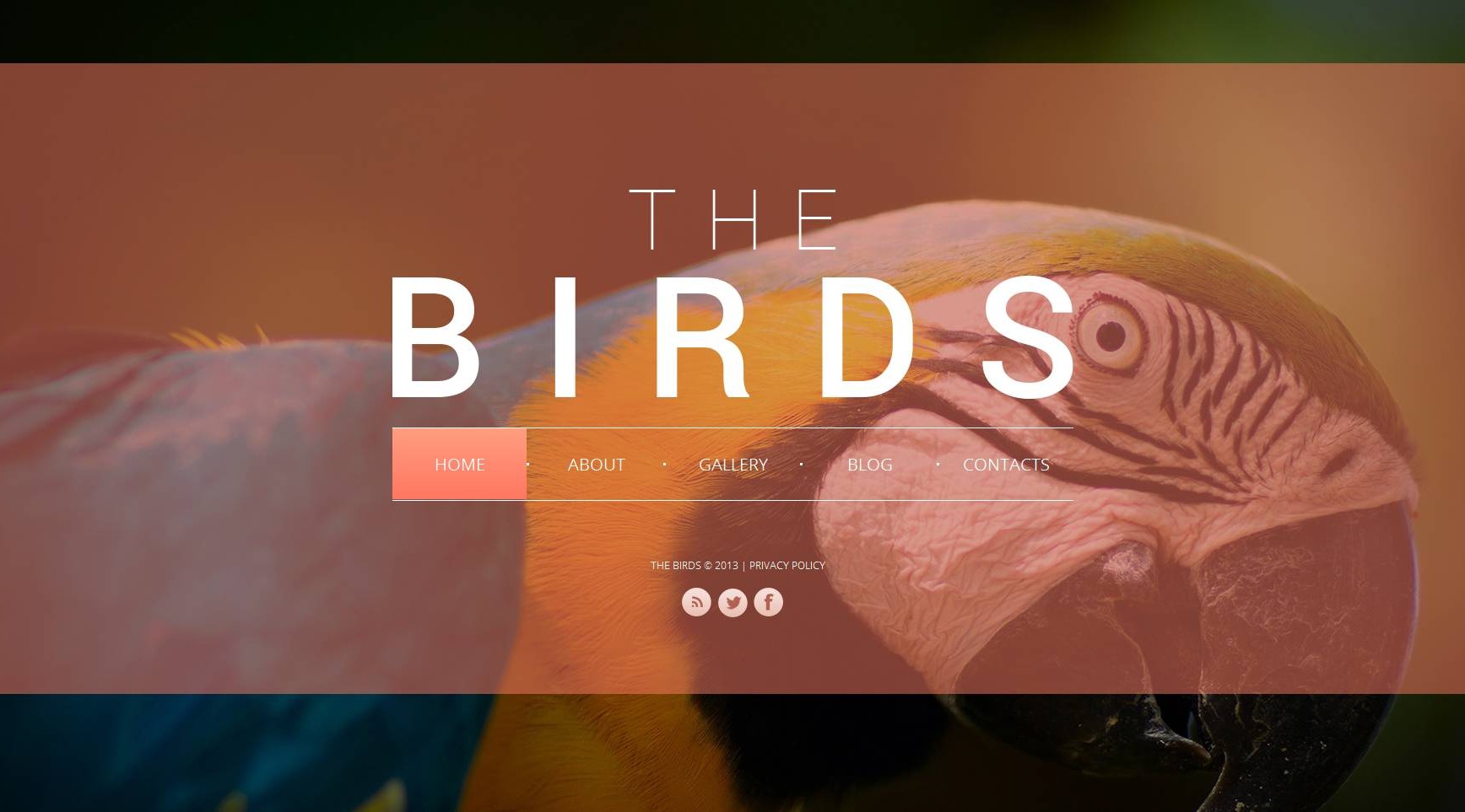 Birds Website Template with Darkened Background Pictures - MotoCMS
