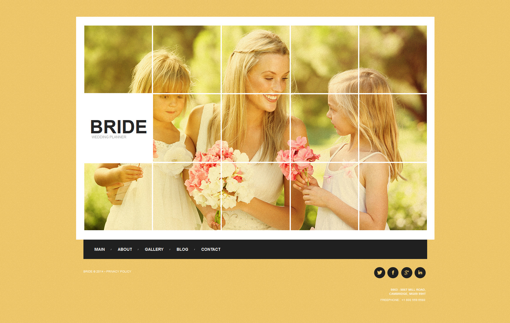 wedding-planner-website-template-with-yellow-background-motocms