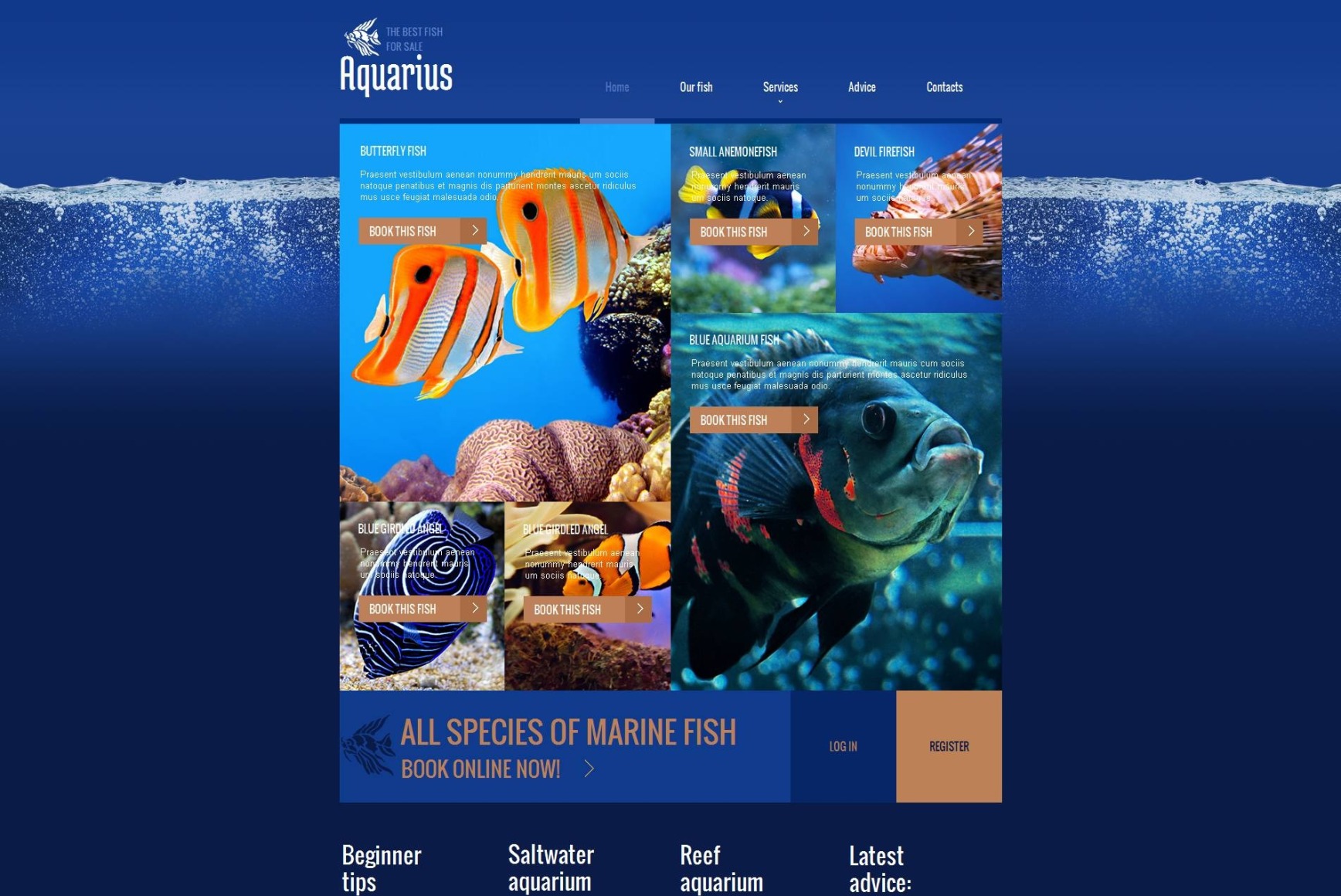 Fish Aquarium site Template for Fish Selling site MotoCMS