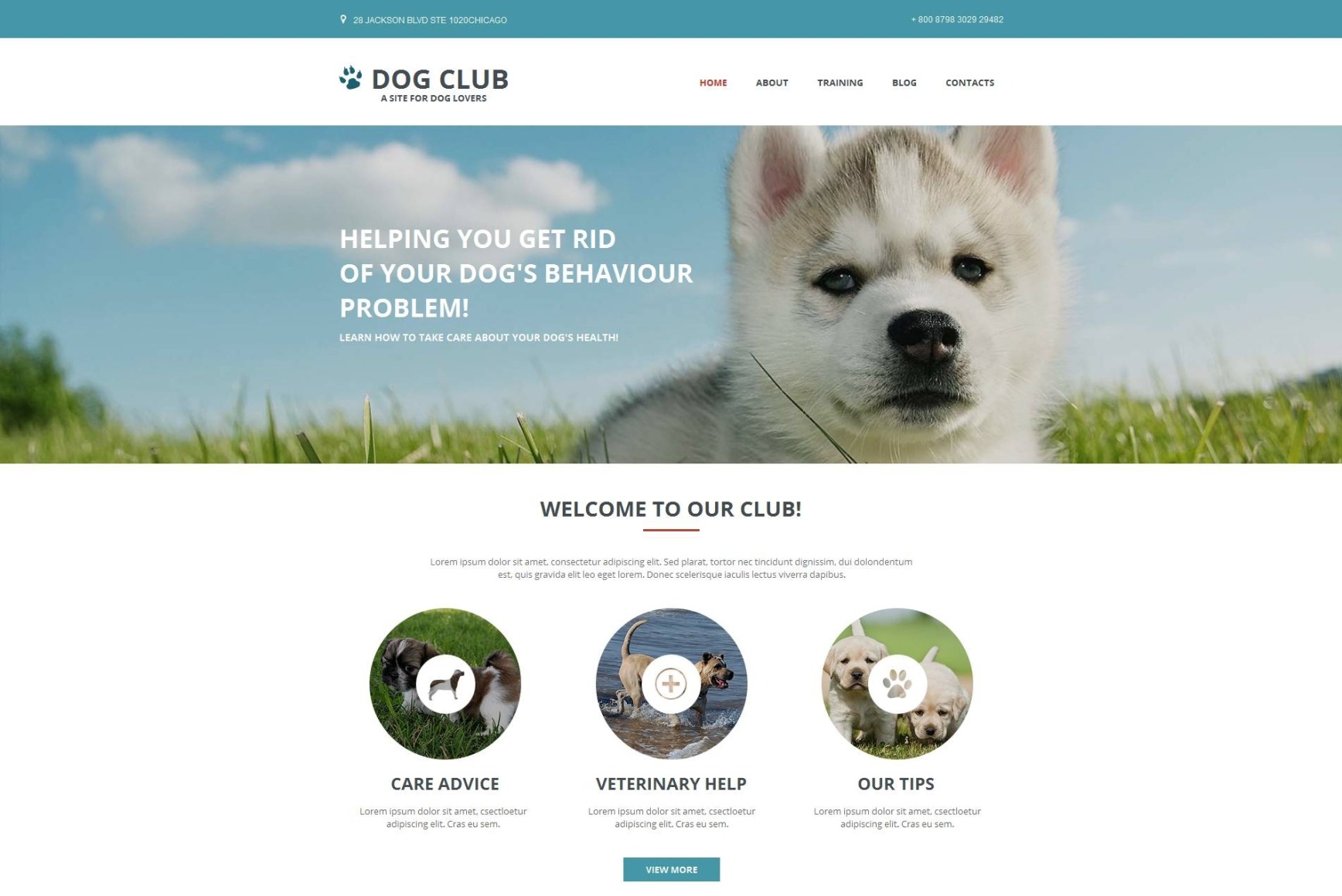 Dog Website Design for Professional Breeders MotoCMS
