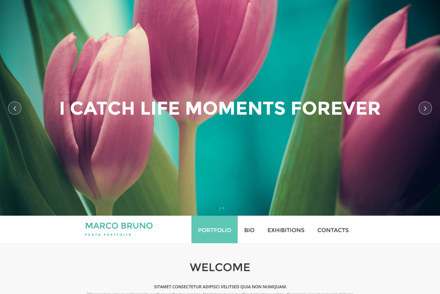 Online Art Gallery Website Template for Photo Portfolio - MotoCMS