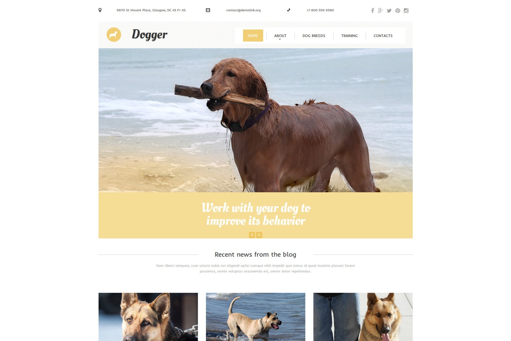 Dog Training Website Template for Dog Obedience School MotoCMS