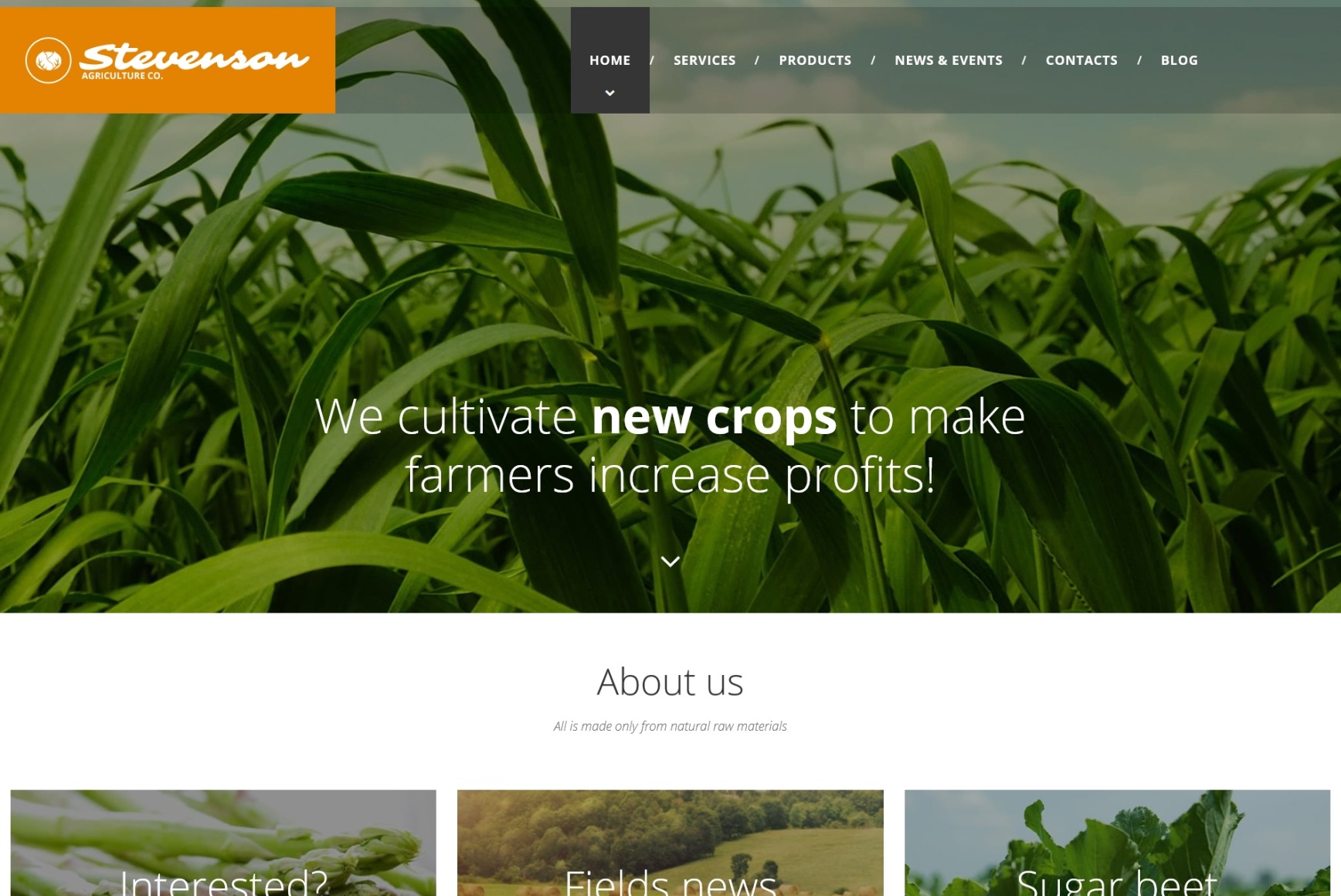 Farm Website Design Template for Crop Cultivation - MotoCMS