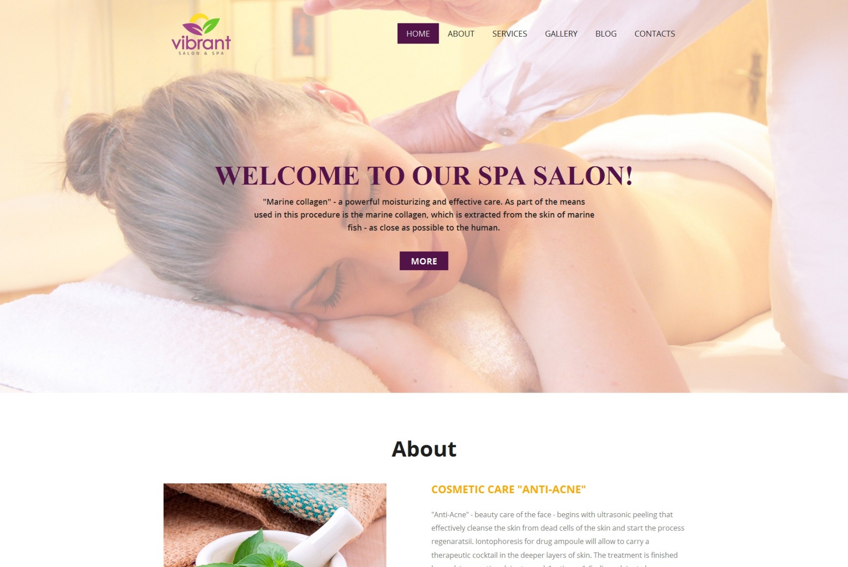 Spa Website Design For Skincare And Massage Salon Motocms