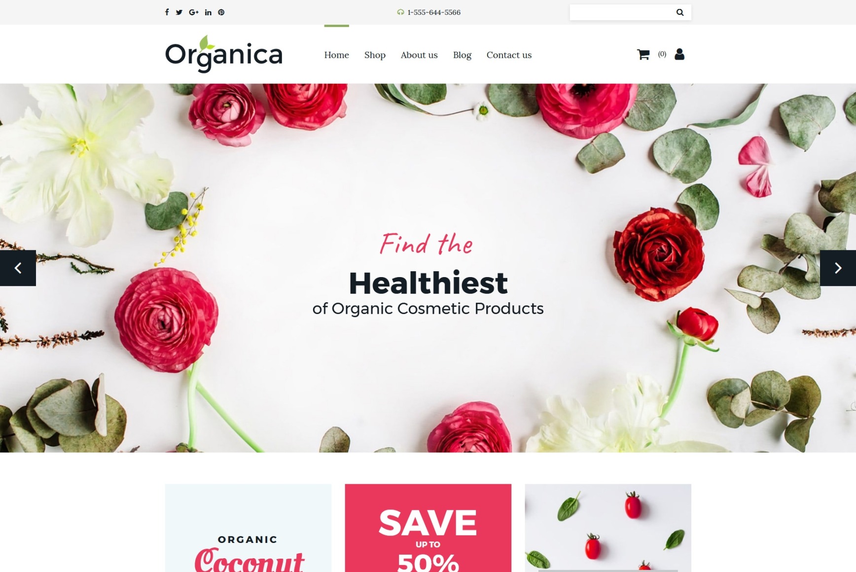 Best Cosmetics site Design for Natural Beauty Store MotoCMS