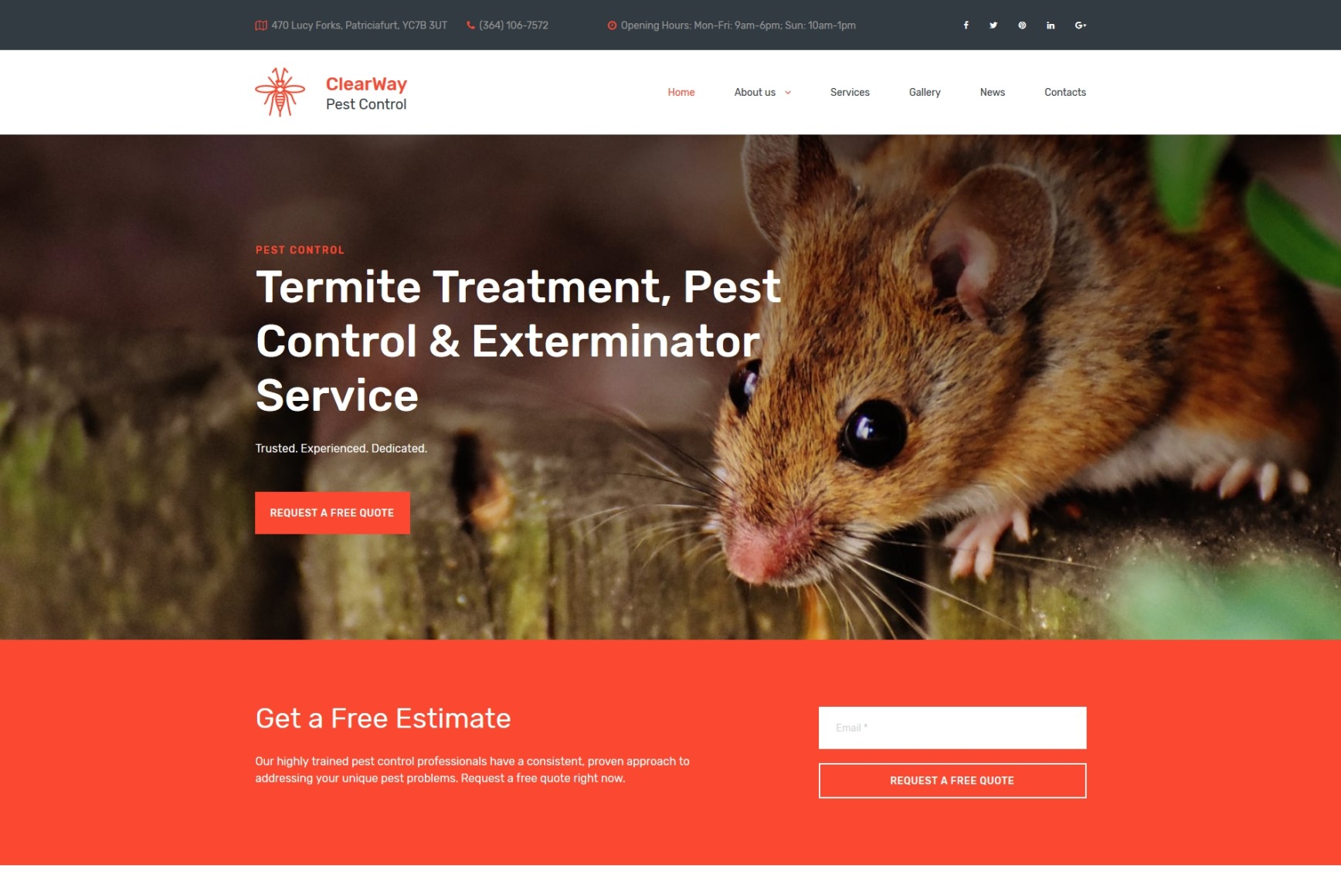 Pest Control Website Template for Pest Exterminators MotoCMS