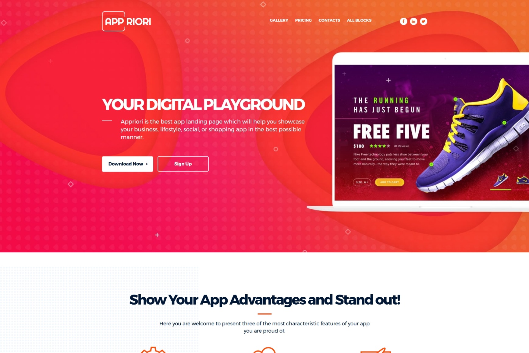 66375 essay 07 image