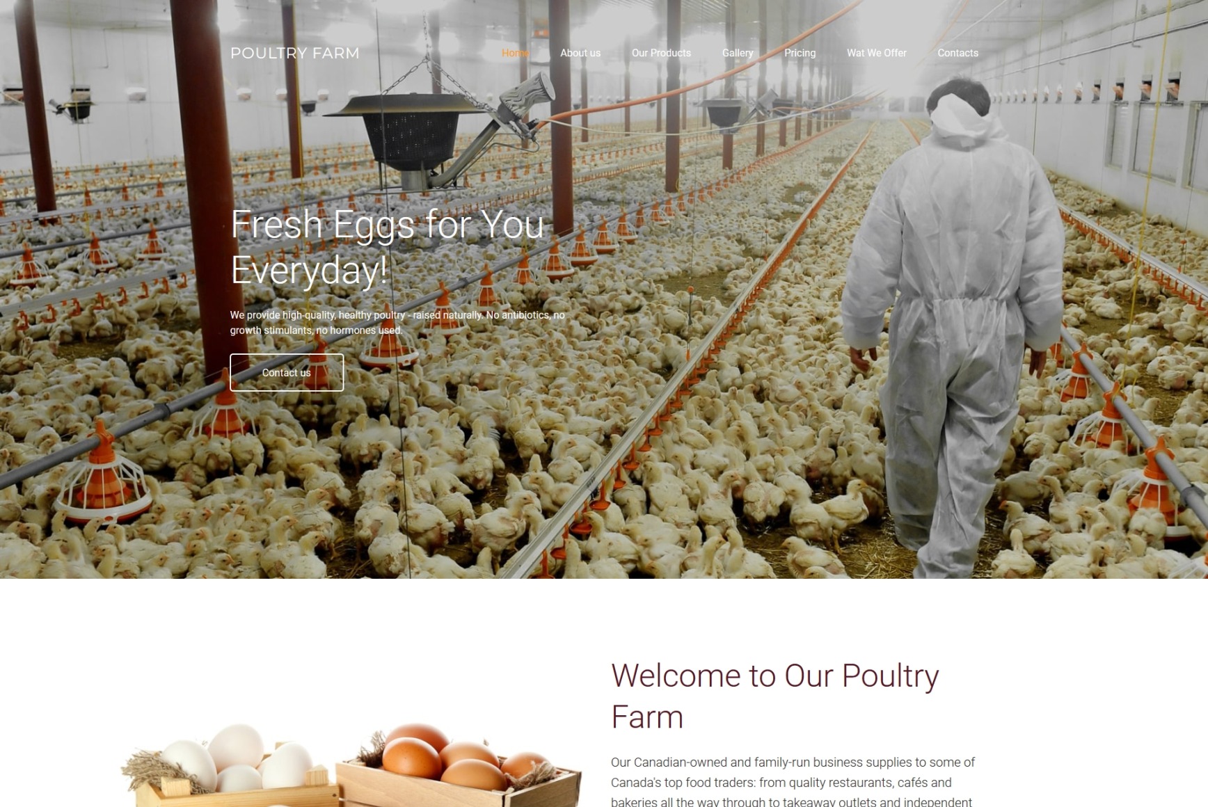 Poultry Farm Website Template MotoCMS