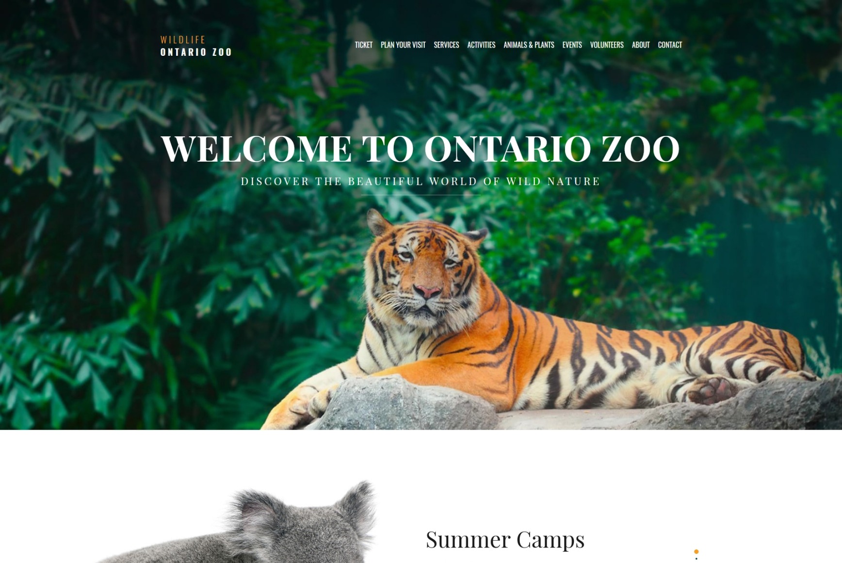 Zoo Website Template For Wildlife Site - MotoCMS