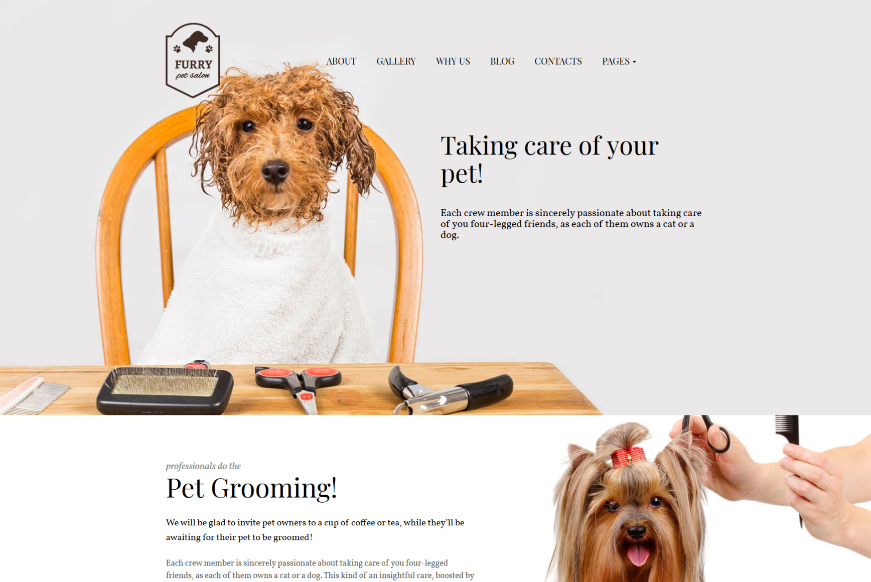 Pet Grooming Website Template for Pet Salon MotoCMS