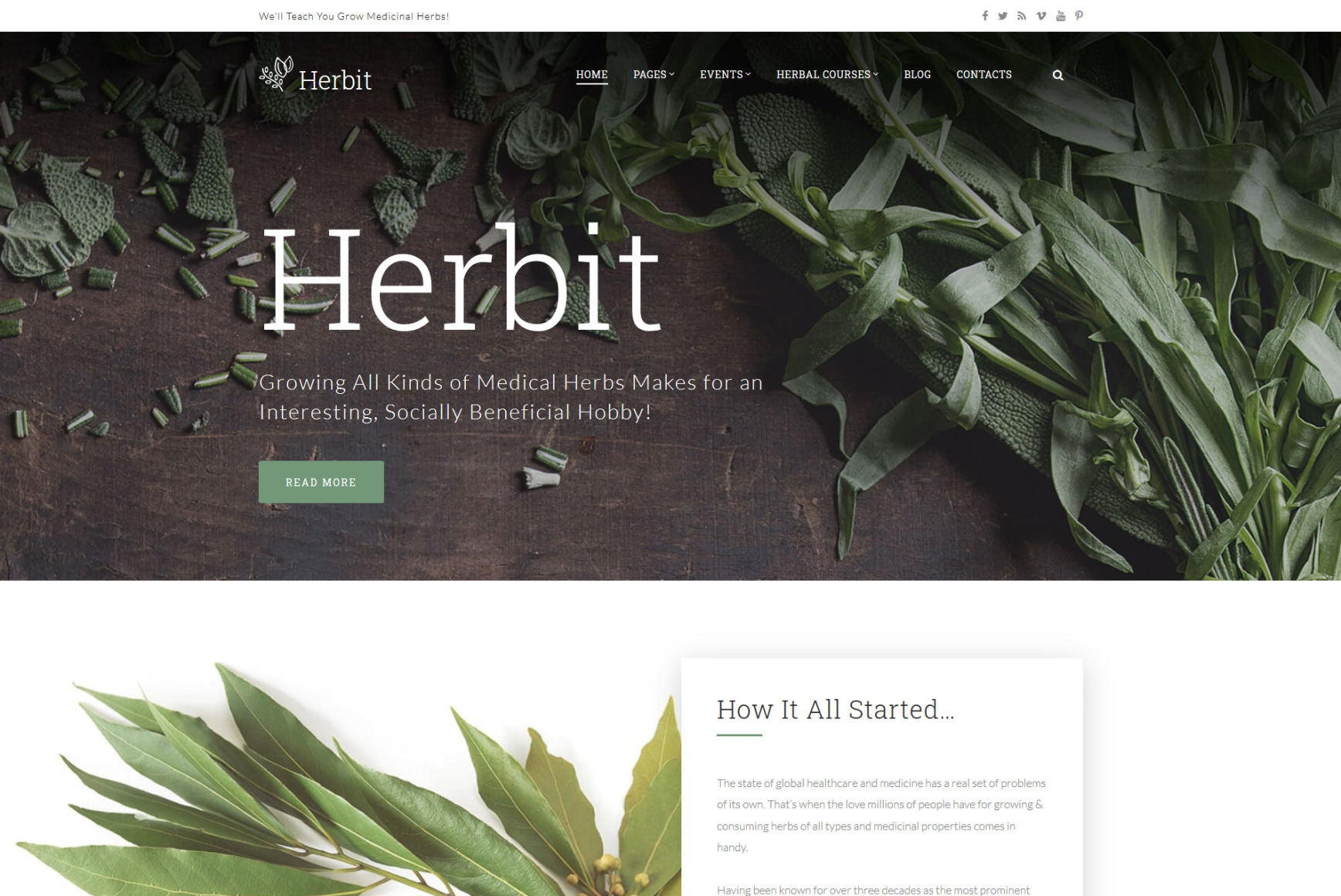 Herbal Website Template for Natural Medicine Site MotoCMS