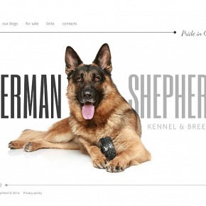 Dog Kennel Website Design for German Shepherd Sites image
