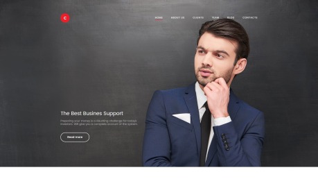 Business Website Design - Consulter - image