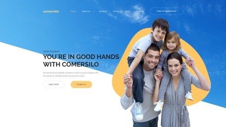 Insurance Company Website Design - Comersilo - image