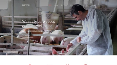 Pig Farm Website Design - PigFarm - image