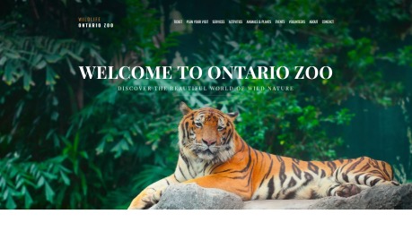 Zoo Website Design - WildLife - image